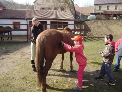 Minifarma Úpořiny PT a PO1